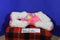 Aurora Bright Fancies Popsicle Pupsicle Pink White Poodle Dog 2014 Beanbag Plush