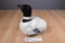 King Plush Kuddles Loon Plush