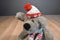 Target Baby Kris Mutt Brown Dog Plush