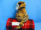 Ty Classic Bengal Tiger 1994 Beanbag Plush