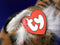 Ty Classic Bengal Tiger 1994 Beanbag Plush