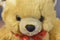 TRIWEF Tan Teddy Bear With Red Bow Plush