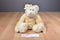 Boyd's Bear Gwendina Teddy Bear 1998 Plush