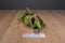 Caltoy Iguana and Gecko Plush Hand Puppets
