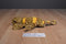 Caltoy Iguana and Gecko Plush Hand Puppets