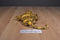 Caltoy Iguana and Gecko Plush Hand Puppets