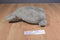 Pandder Grey and White Seal Plush