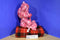 Disney Parks Minnie Mouse Pink Poseable Plush