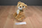 Aurora Miyoni Tots Brown Lion Cub 2016 Beanbag Plush