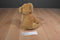 Aurora Miyoni Tots Brown Lion Cub 2016 Beanbag Plush