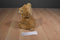 Aurora Miyoni Tots Brown Lion Cub 2016 Beanbag Plush