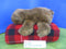 Ty Classic Forest the Brown Bear 1997 Beanbag Plush