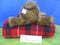 Ty Classic Forest the Brown Bear 1997 Beanbag Plush