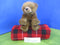 Ty Classic Forest the Brown Bear 1997 Beanbag Plush