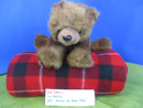 Ty Classic Forest the Brown Bear 1997 Beanbag Plush