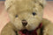 Aurora Brown Teddy Bear With Red Bow Plush