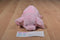 Cedar Fair Point Pink Pig Plush