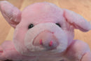 Cedar Fair Point Pink Pig Plush