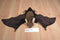 Fiesta Brown Bat Beanbag Plush