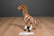 FAO Schwarz Mini Giraffe 2013 Plush