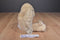 Jellycat Beige Bunny Rabbit with Suede Feet Beanbag Plush