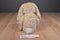 Jellycat Beige Bunny Rabbit with Suede Feet Beanbag Plush