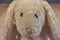 Jellycat Beige Bunny Rabbit with Suede Feet Beanbag Plush