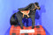 Only Hearts Club Midnight Morgan Black Horse Poseable Plush