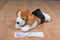 Aurora Mini Flopsies Homer the Beagle Beanbag Plush