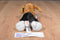 Aurora Mini Flopsies Homer the Beagle Beanbag Plush