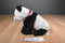 Ty Classic Beckett the Panda Borders Exclusive 2009 Beanbag Plush