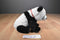 Ty Classic Beckett the Panda Borders Exclusive 2009 Beanbag Plush
