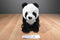Ty Classic Beckett the Panda Borders Exclusive 2009 Beanbag Plush