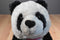 Ty Classic Beckett the Panda Borders Exclusive 2009 Beanbag Plush