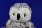 Build-A-Bear Harry Potter Hedwig Hooting Snowy Owl Plush