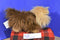 Bob Gedan Yorkie Yorkshire Terrier 2009 Bag Plush