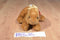 Aurora Mini Flopsies Bitty the Brown Bunny Rabbit Beanbag Plush