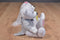 Ty Beanie Babies We Do Wedding Bears 2004 Beanbag Plush