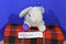 Travelers Insurance White Bunny Purple Paw Plush