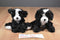 Hugfun Black and White Puppy Dogs Set of 2 Beanbag Plushes