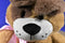 Animal Adventure Tan Brown Dog Big Pink Heart Feet 2018 Plush