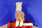 Aurora Miyoni Llama Alpaca Plush