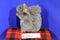 Aurora Miyoni American Gray Squirrel 2014 Beanbag Plush