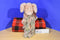 Boyd's Bears Truffles O. Pigg Pig with Blanket 1999 Beanbag Plush