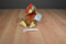 Ganz Webkinz Turkey HM418 Beanbag Plush With Sealed Code