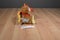 Ganz Webkinz Turkey HM418 Beanbag Plush With Sealed Code