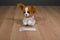 Ty Beanie Baby Barks Papillion Puppy Dog 2007 Beanbag Plush