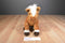 Ty Beanie Buddy Trotter Brown and White Horse Pony 2001 Beanbag Plush