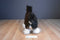 Gund Clyde and Dale the Clydesdale Horse Plush