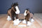 Gund Clyde and Dale the Clydesdale Horse Plush